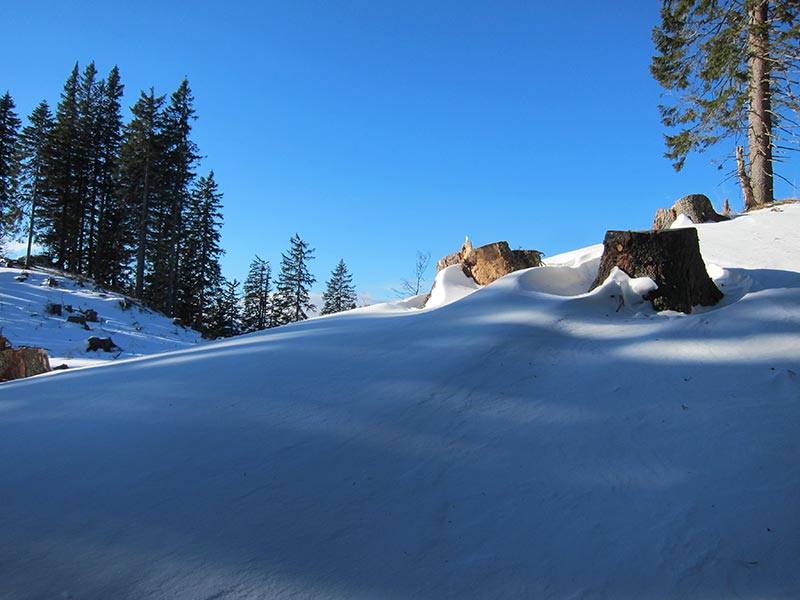 schwarzkogel